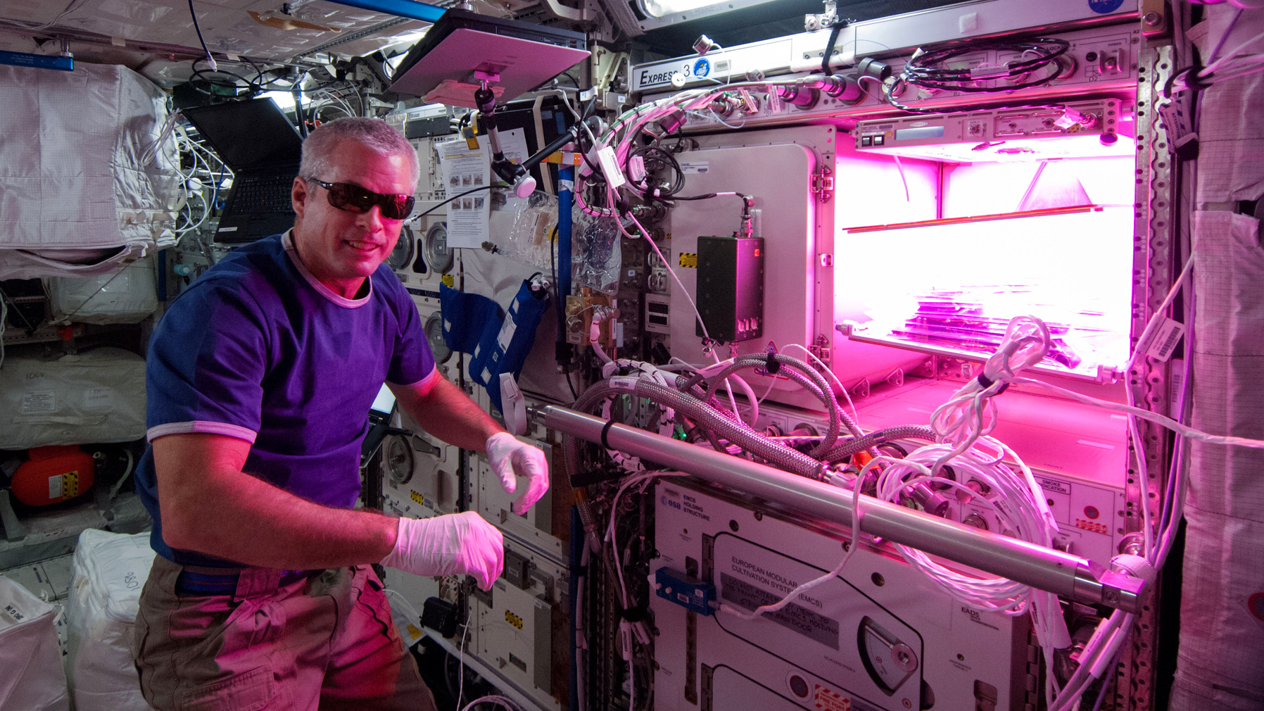 Astronauts will eat salad grown on the ISS 49 Astronauts will eat salad grown on the ISS 12